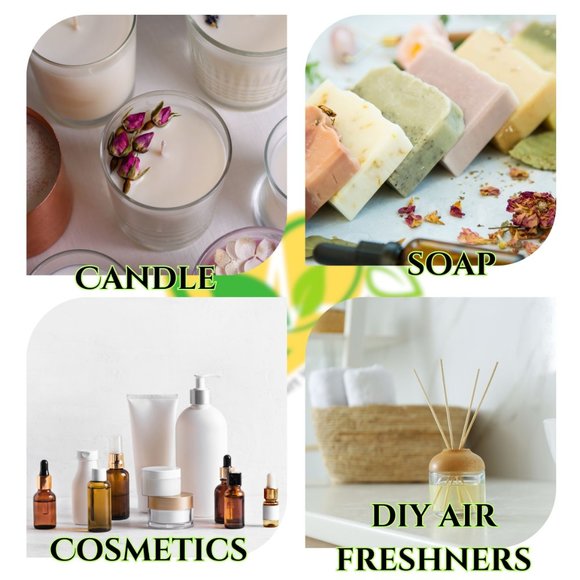Fragrance Oil Scents For DIY Soap Candle Natural Concentrated Notes 2X 16 FL OZ - Picture 6 of 12
